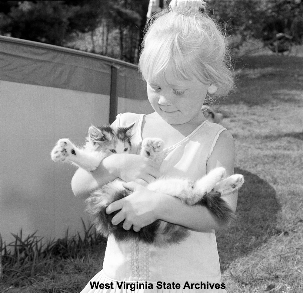 Little girl with polydactyl kitten, July 17, 1973. Clarksburg Exponent Collection, West Virginia State Archives (cx13974)