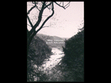 Distant view of Fayette Station bridge. Trees in the foreground.