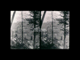 View from Brown's ovens looking down tree-covered hillside towards buildings in Nuttalburg. Stereo.