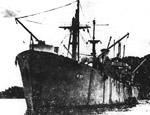 USS Serpens
