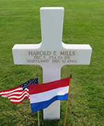 Cross denoting the grave of Harold E Mills in Netherlands American Cemetery at Margraten. Courtesy American Battle Monuments Commission
