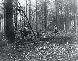 28th Infantry Division troops advance through the Huertgen Forest in Germany on November 2, 1944, at the start of a long, bloody fight. National Archives photo by Pfc. G. W. Goodman, U.S. Army 