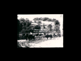 Horses and two buggies on the way home from a Fourth of July picnic. A woman is astride a horse. Fences are on a hillside in the background.