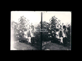 Three children (girls) with dog on the path in the garden at "Holmefield." Stereo.