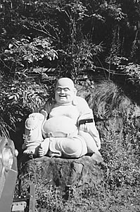 Buddha