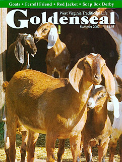 Summer 2007 Goldenseal cover
