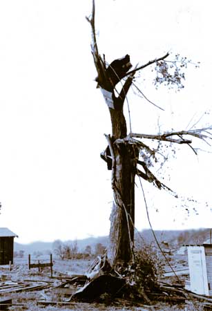 Scene after the tornado