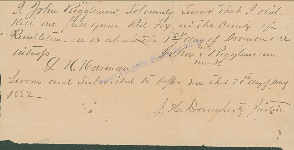 Sworn bounty document of John Riggleman claiming bounty for red fox scalp, 1882. (Ar2095)