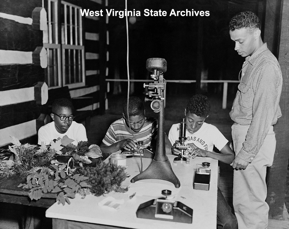 Teenage boys using optical equipment at Camp Washington-Carver, n.d. Camp Washington-Carver Collection, West Virginia State Archives (194204)