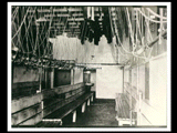 Interior of the white section of the bath house at mine Number 251, showing wooden bench seating and bathing apparatus above.
