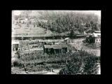 Miners homes and gardens in coal town. United States Steel. Venus (Gary No. 10) according to information supplied by database user.