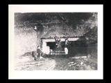 Three men (two are miners), boy, and mule at entrance to mine shaft.