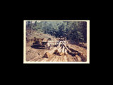 Logging scene. Tractor skidding logs. From small red photo album.