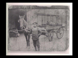 Man (Lee Purpura) holding reigns on mule hitched to Purpura Brothers banana cart. Signage on cart: "Purpura Bros Wholesale Bananas."