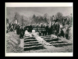 Group of people gathered in Mount Calvary Cemetery at open graves for men killed in Benwood Mine disaster. Caskets on boards. Dog.