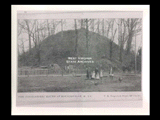 View of Grave Creek mound at Moundsville with group of children standing in the foreground. Fence. Published by T. R. Rogers and Sons.