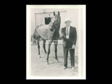Unidentified man holding reigns on horse.